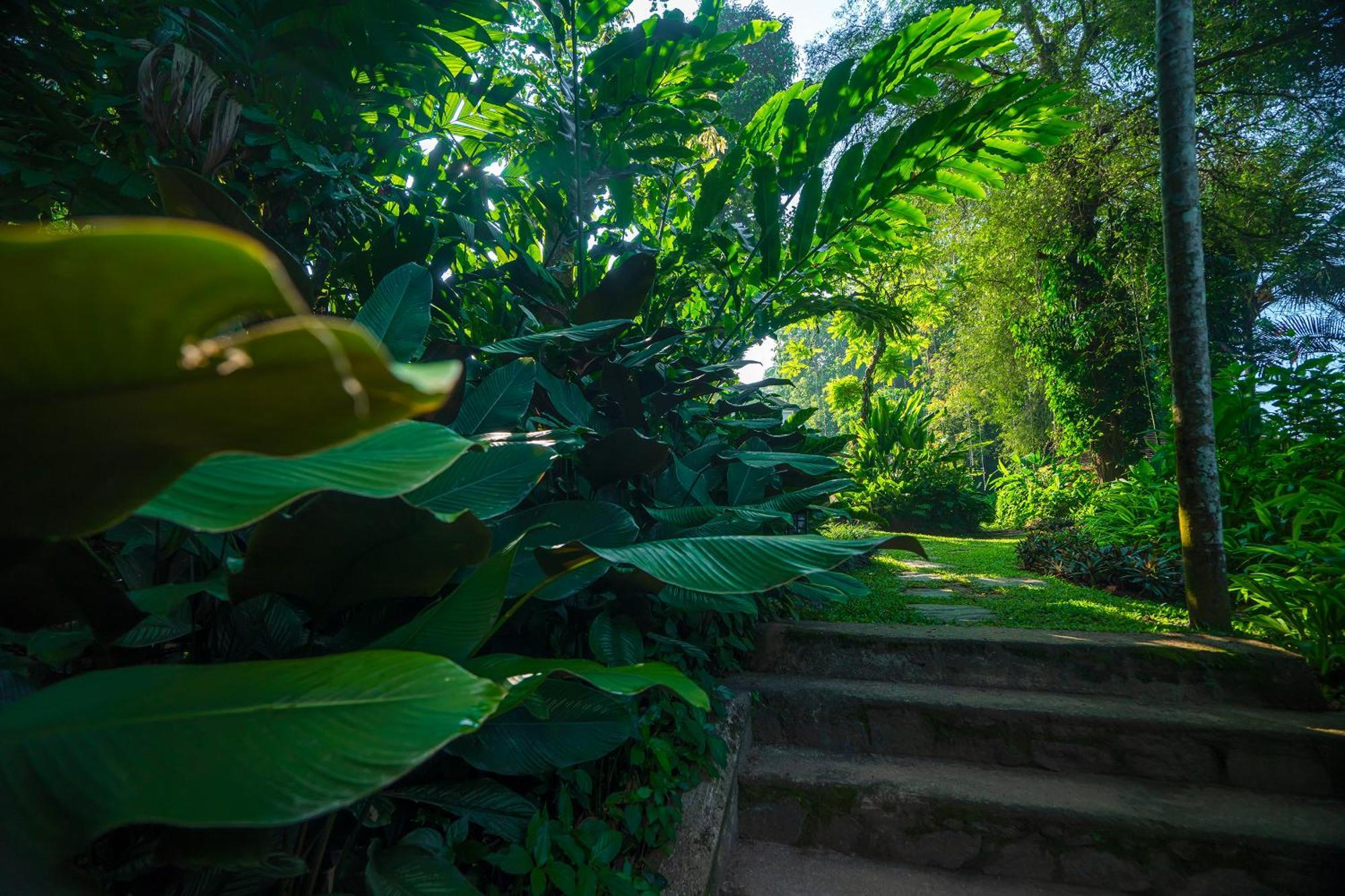 Adigars Manor فندق